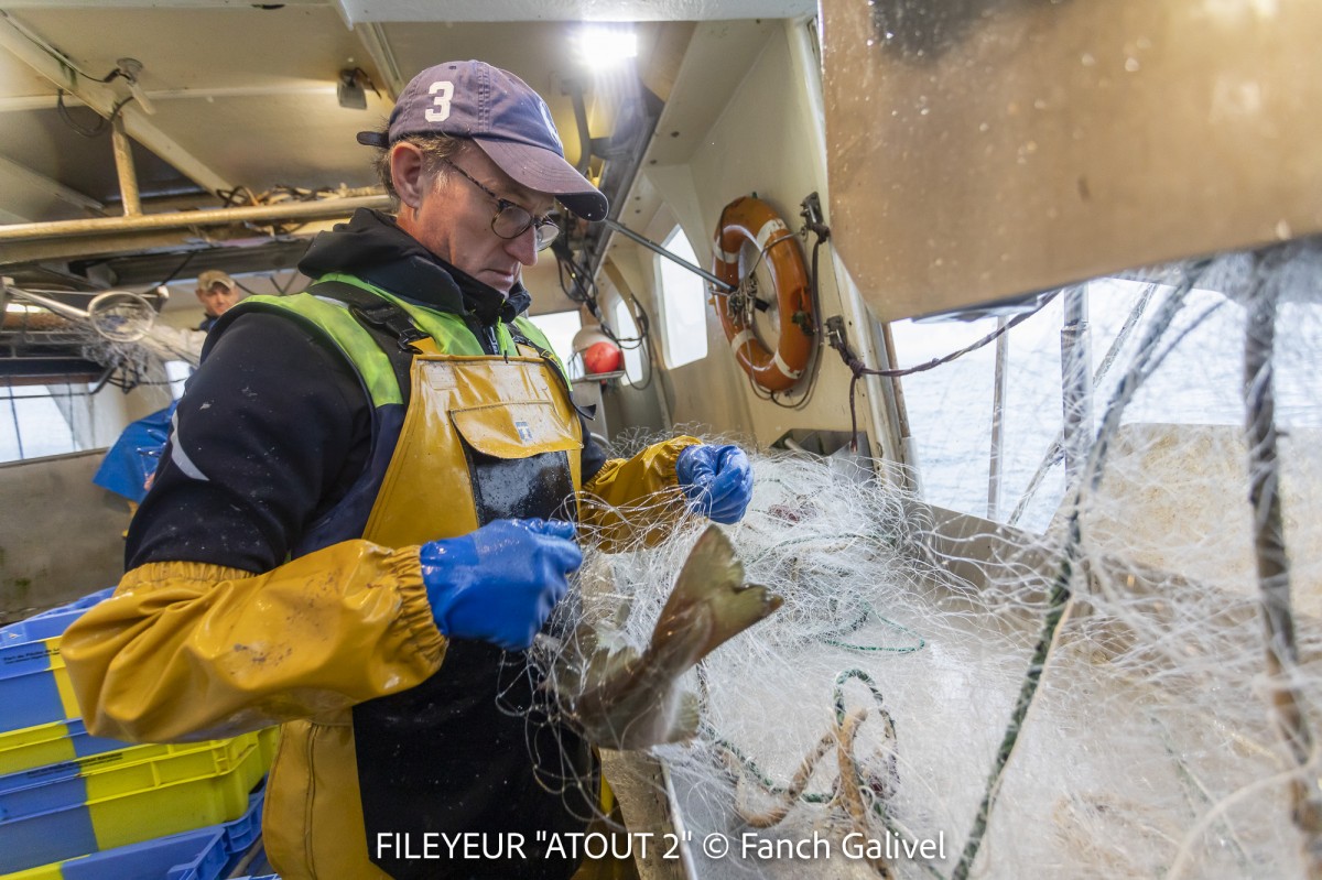 Pêche en mer à bord du fileyeur "Atout 2" au sud de l'ile de Groix