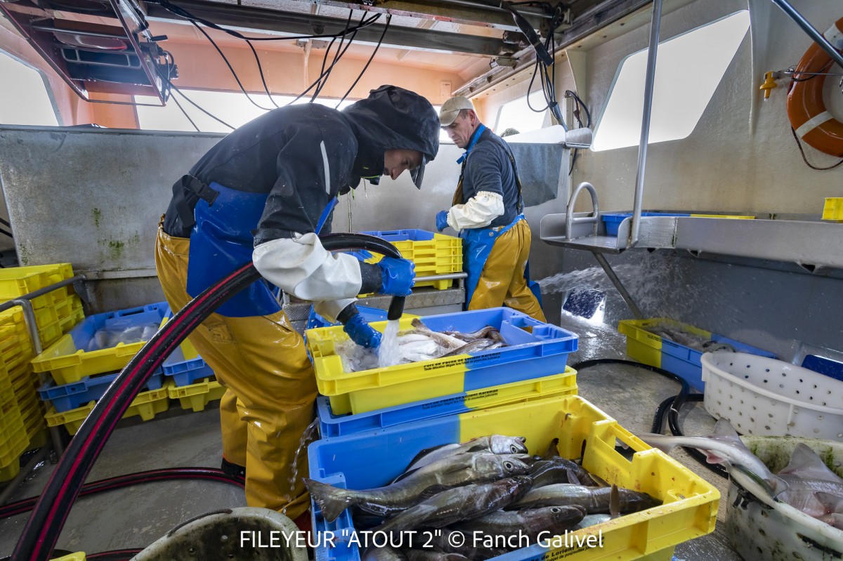 Pêche en mer à bord du fileyeur "Atout 2" au sud de l'ile de Groix
