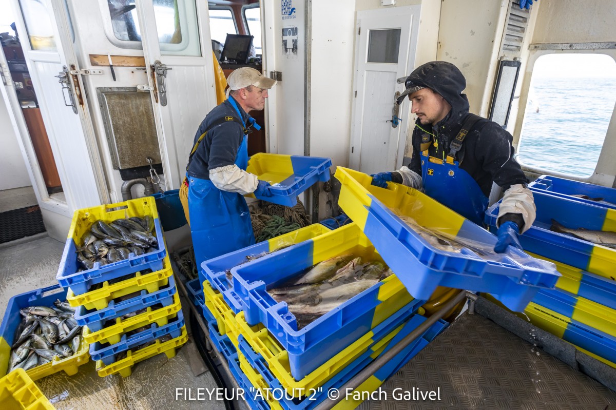 Pêche en mer à bord du fileyeur "Atout 2" au sud de l'ile de Groix