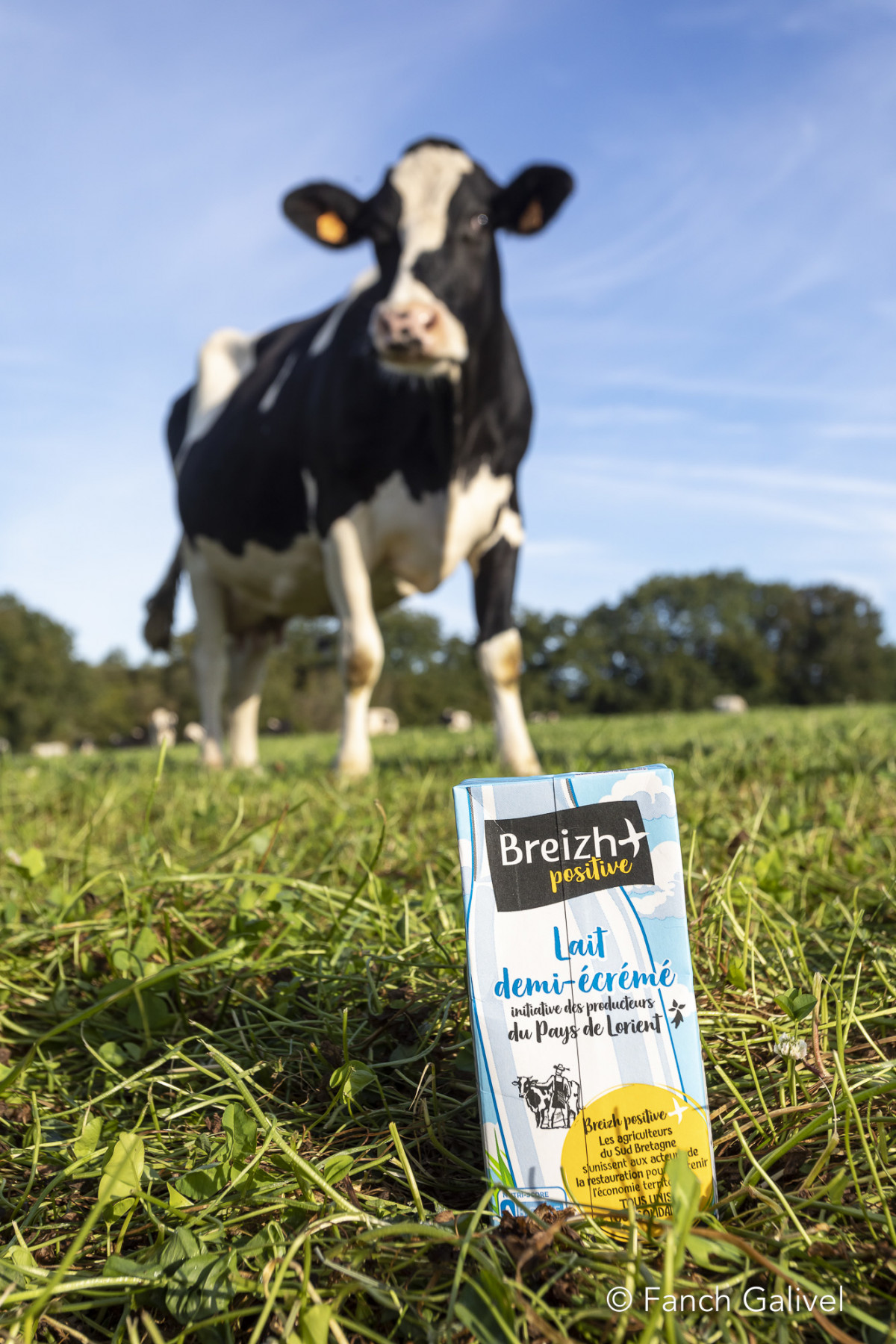 Lait Breizh Positive _ Pont-Scorff