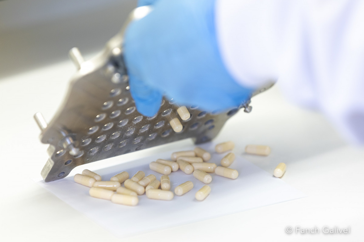 Fabrication de gélules _ Pharmacie et préparatoire Kerangal à Rennes