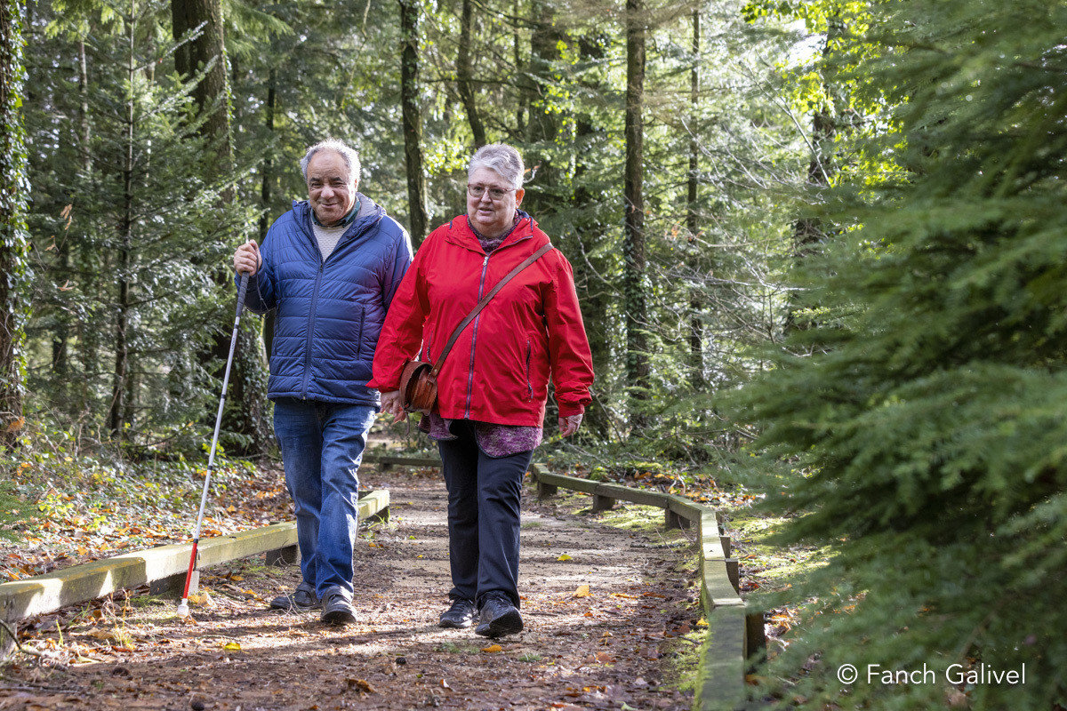 Parcours sensoriel de la forêt de Trémelin à Inzinzac-Lochrist. La balade de la charbonnière est aménagée pour les personnes en situation d'handicapParcours sensoriel de la forêt de Trémelin à Inzinzac-Lochrist. La balade de la charbonnière est aménagée p