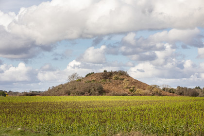Tumulus of Tumiac in Arzon