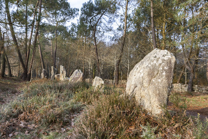 Alignements du Petit Menec _ La Trinite sur Mer