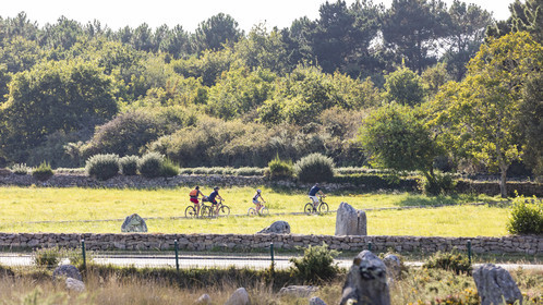 CARNAC _ Circuit des mégalithes _ ÉTÉ 2021