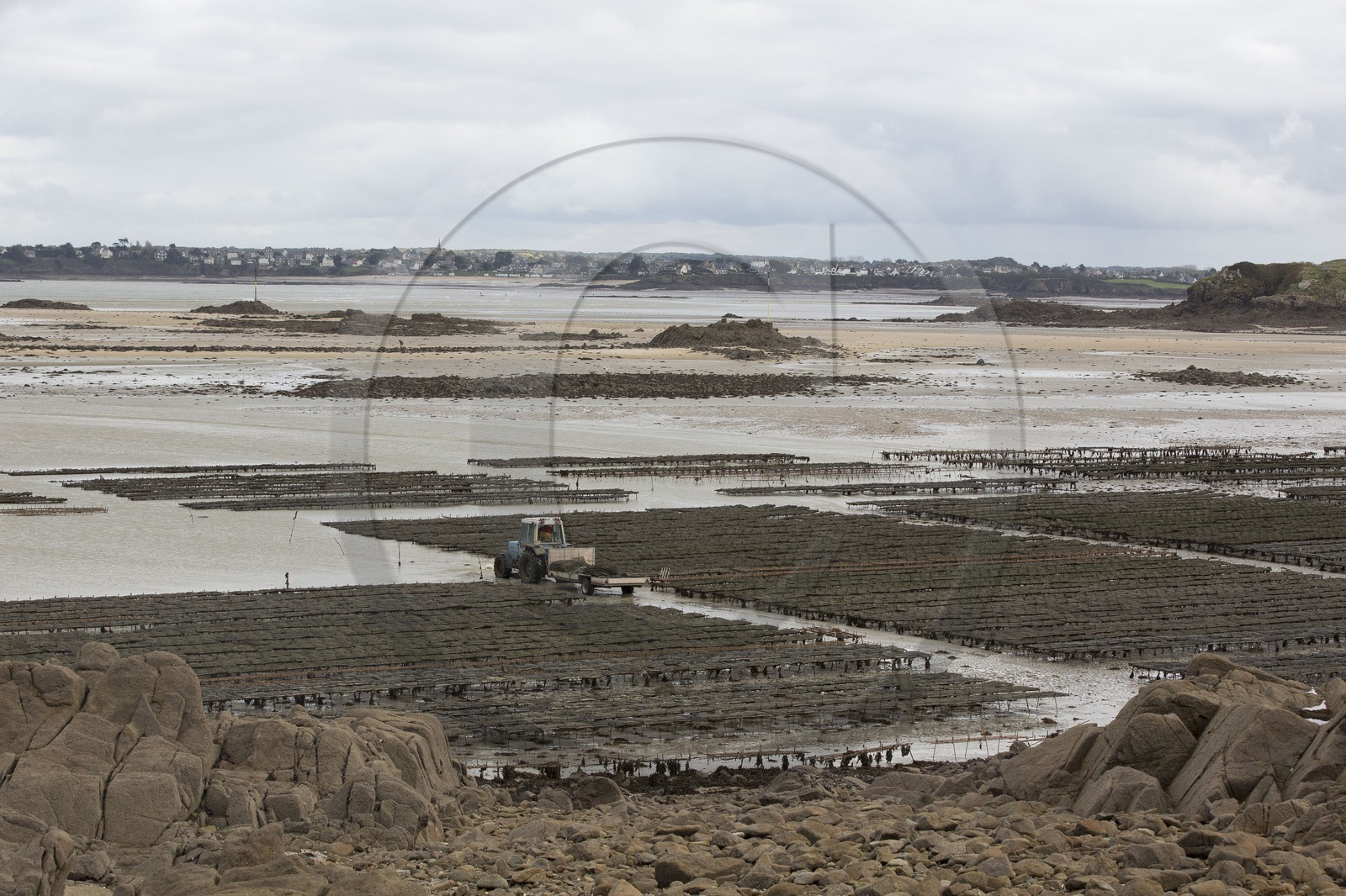 ostréiculture _ St Jacut de la mer