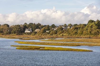 Anse de Kerdual _ La Trinite sur Mer