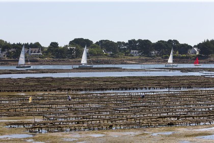 La riviere de Crac h vue depuis la Trinite sur Mer