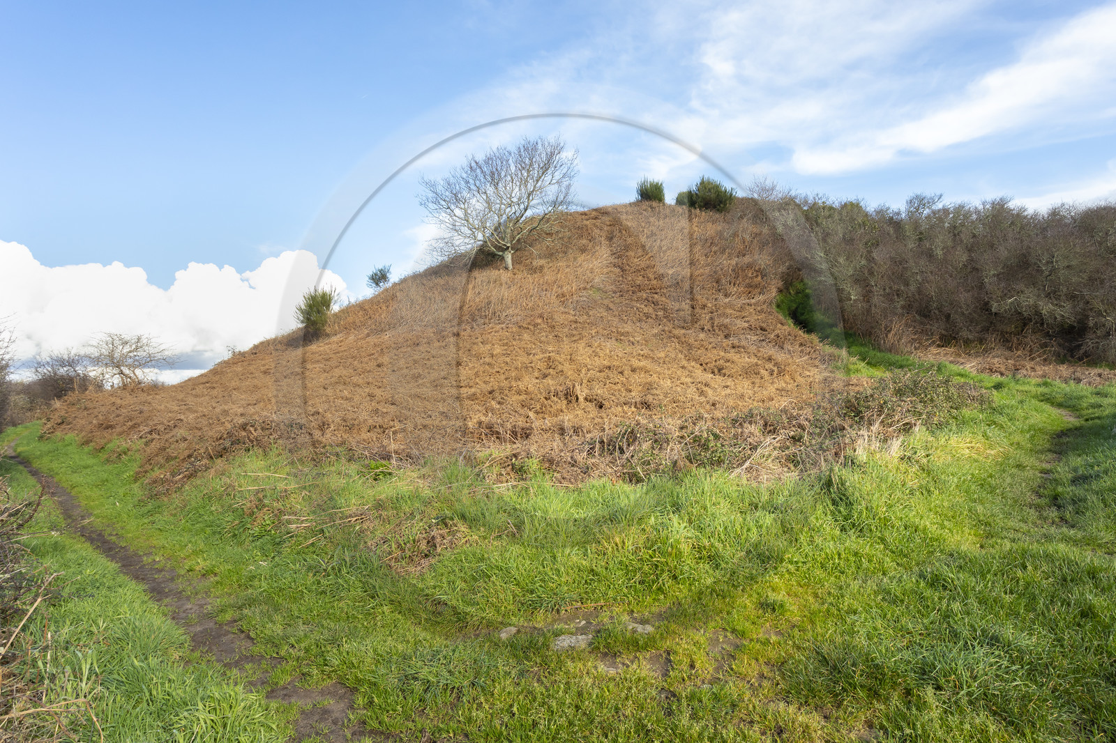 Tumulus de Tumiac à Arzon