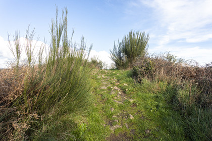 Tumulus of Tumiac in Arzon