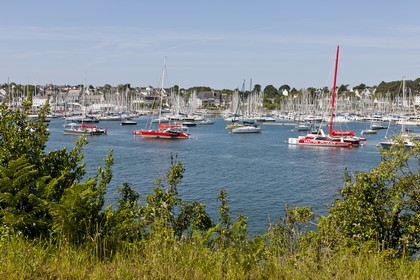 Le port de la Trinite sur mer