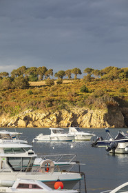 Estuary of L 'Aven near the tip of Penquernéo
