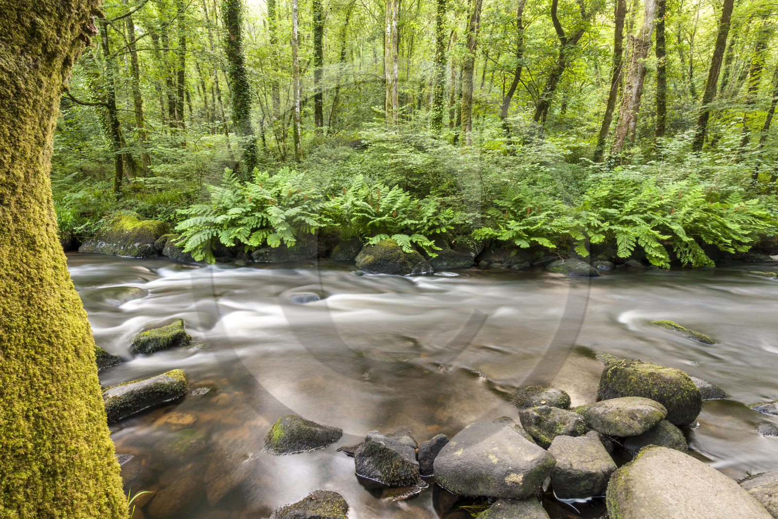 La rivière l'Ellée La rivière l'Ellée