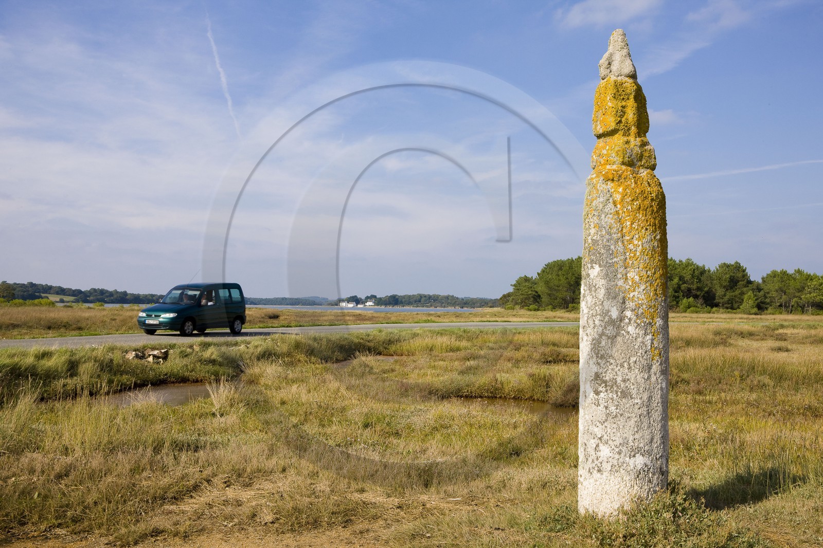 Quenouille Ste Brigitte. Locoal Mendon_Morbihan Quenouille Ste Brigitte. Locoal Mendon_Morbihan