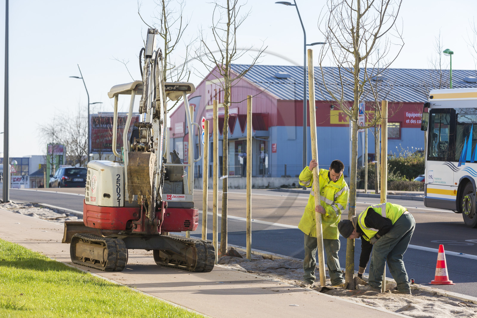 Triskell_Arbres_Queudet Triskell_Arbres_Queudet