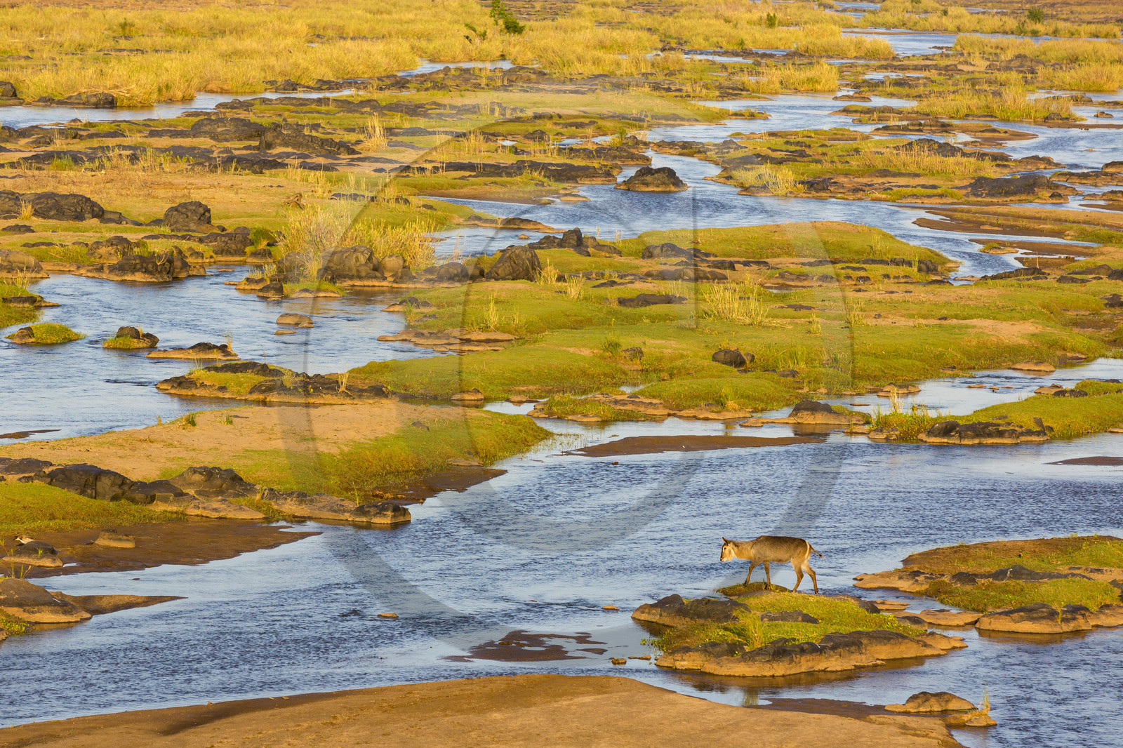 Paysage_Parc Krüger, Afrique du Sud Paysage_Parc Krüger, Afrique du Sud