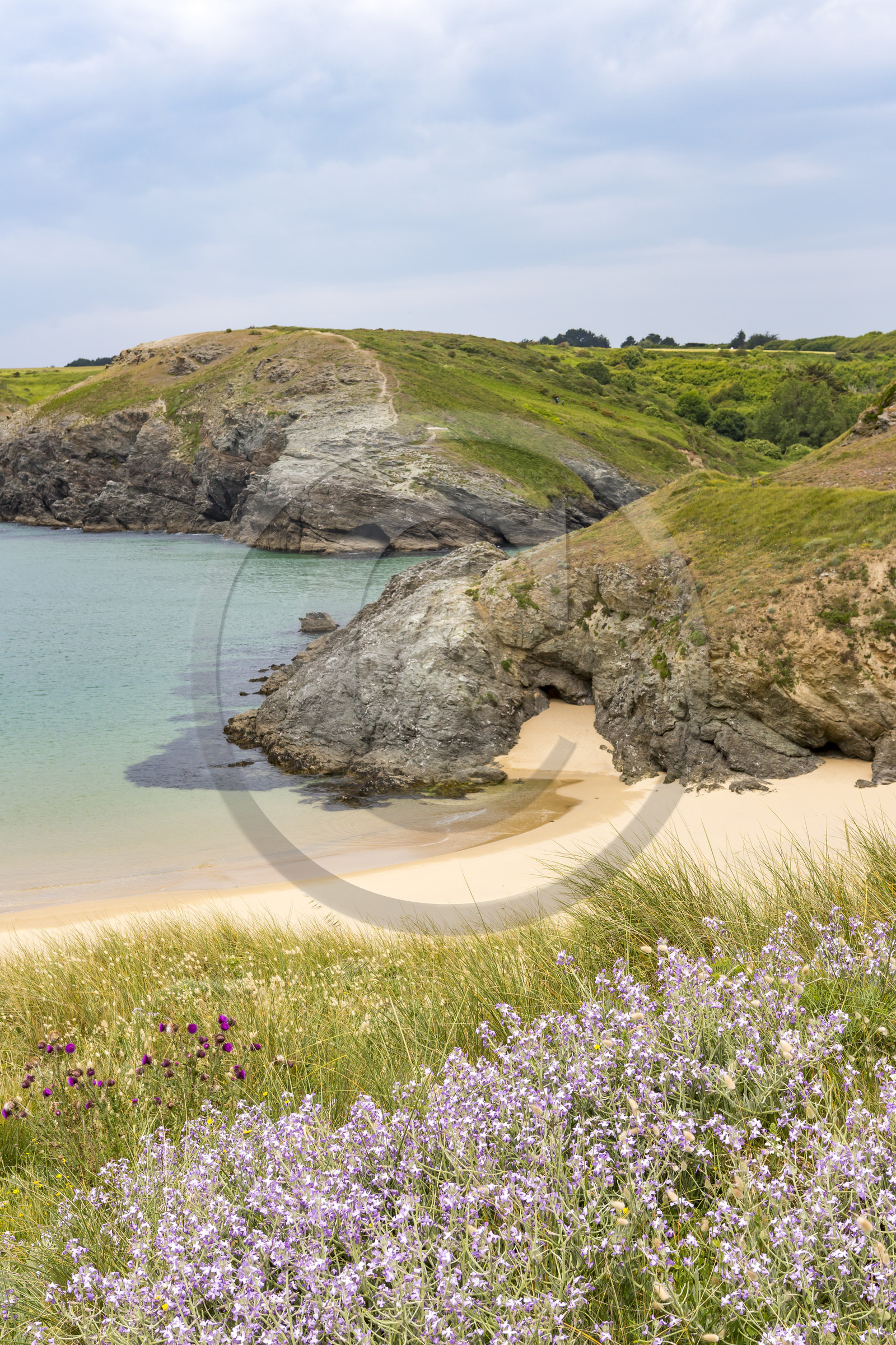 La plage d'Herlin à Belle-ile en mer. La plage d'Herlin à Belle-ile en mer.