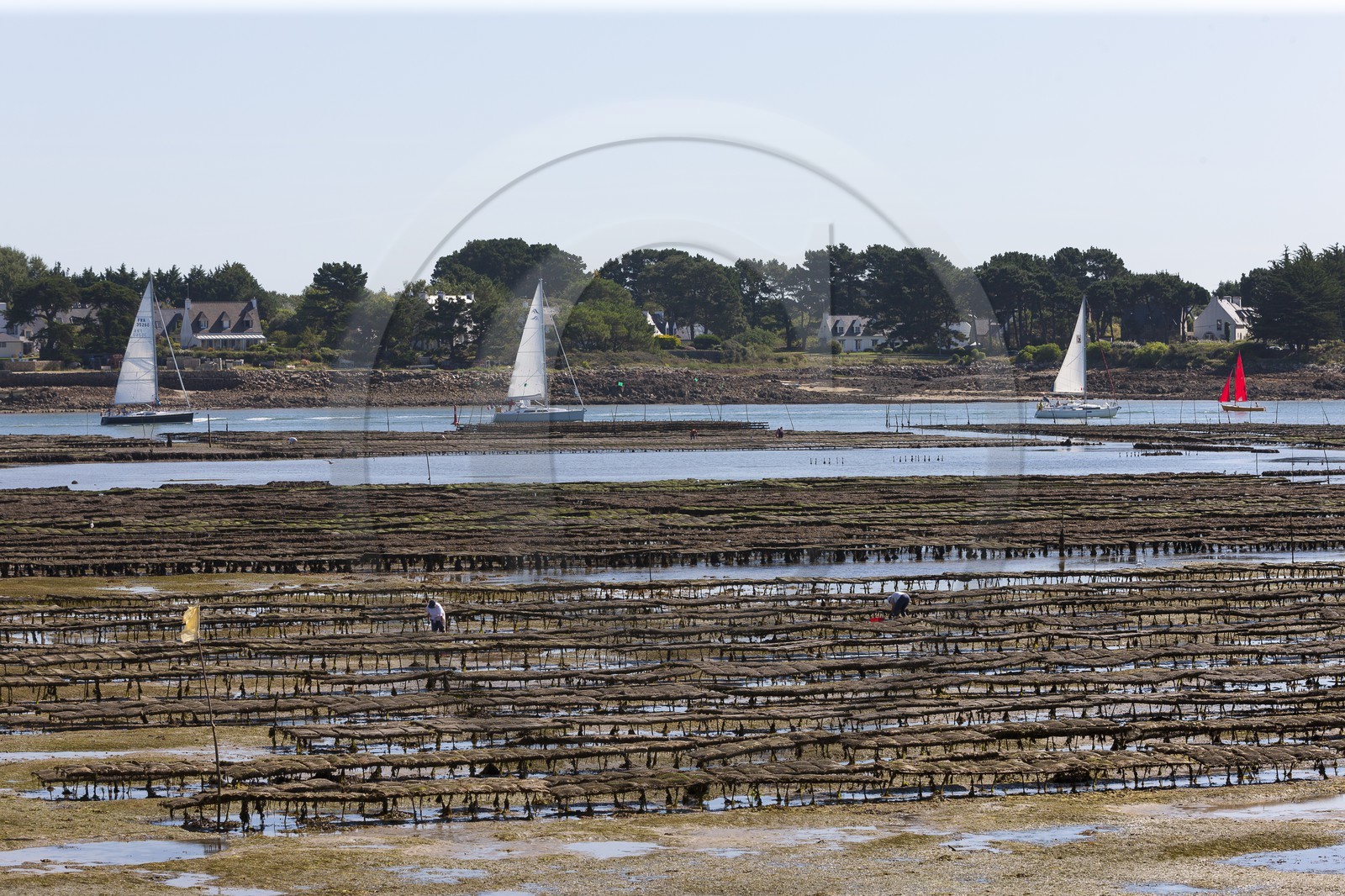 La riviere de Crac h vue depuis la Trinite sur Mer La riviere de Crac h vue depuis la Trinite sur Mer