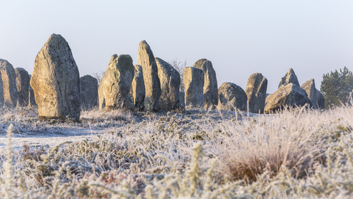 Alignements de Kerlescan à Carnac