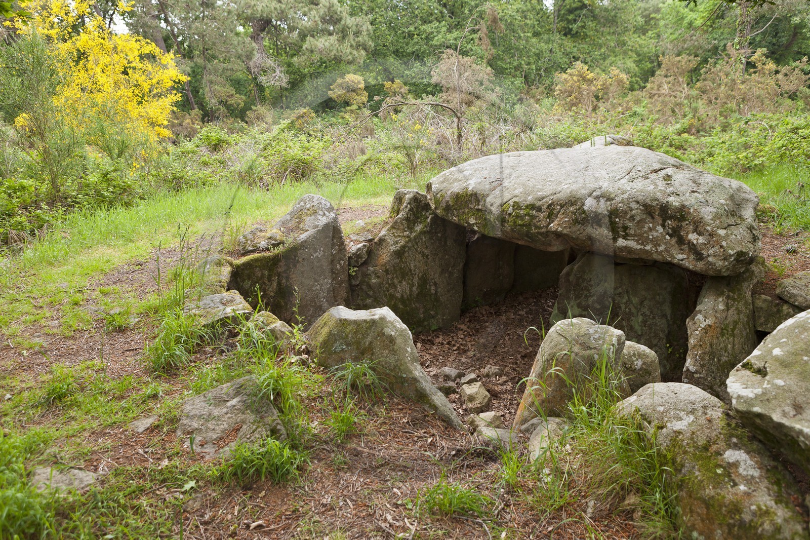 LE DOLMEN DE KERMARQUER LE DOLMEN DE KERMARQUER