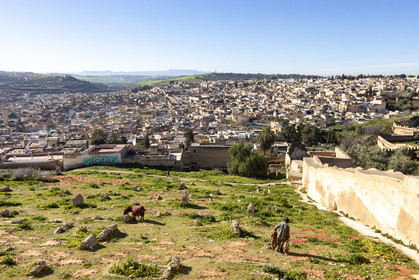 Vue sur la Médina de Fès au Maroc