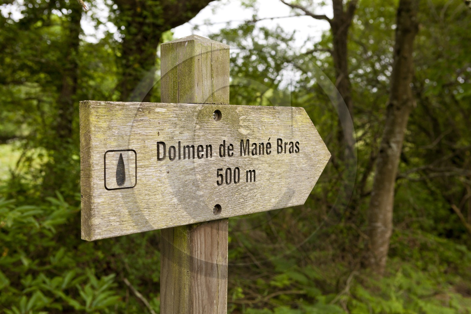 Le dolmen de Mane Braz _ la Trinite sur mer. Le dolmen de Mane Braz _ la Trinite sur mer.