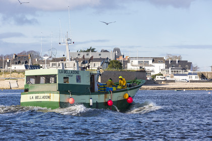 Bateau de pêche  Le Belladone  dans la rade de Lorient
