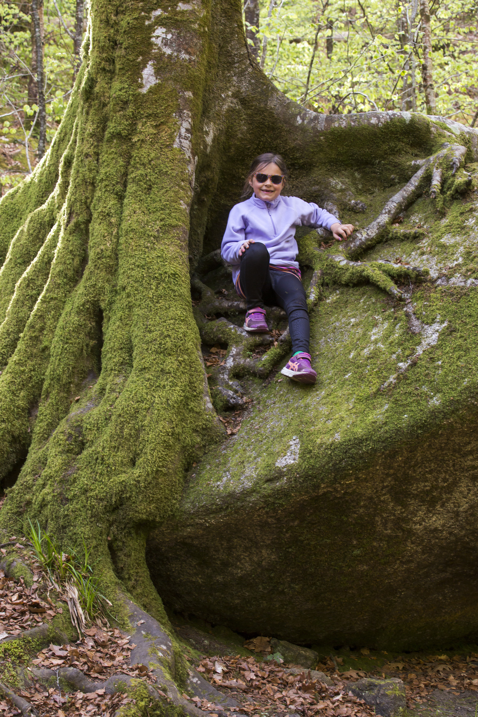 Forêt de Huelgoat