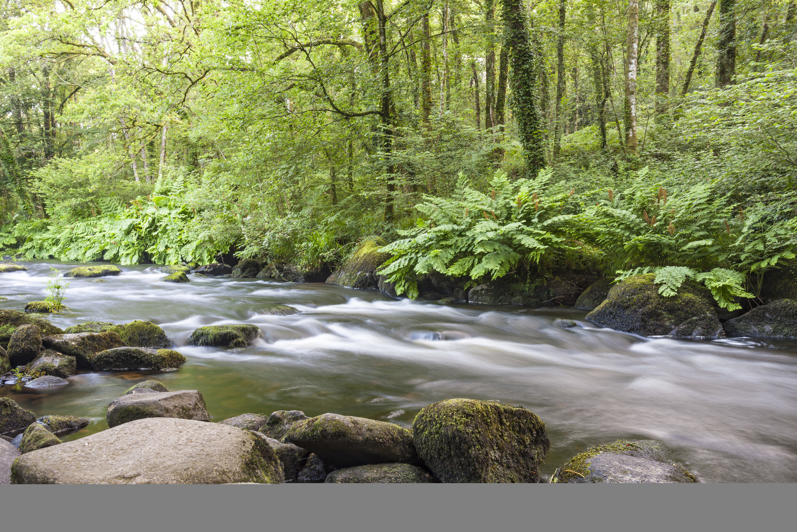 La rivière l'Ellée La rivière l'Ellée