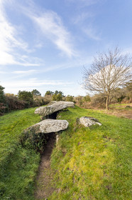 Dolmen du Graniol in Arzon.