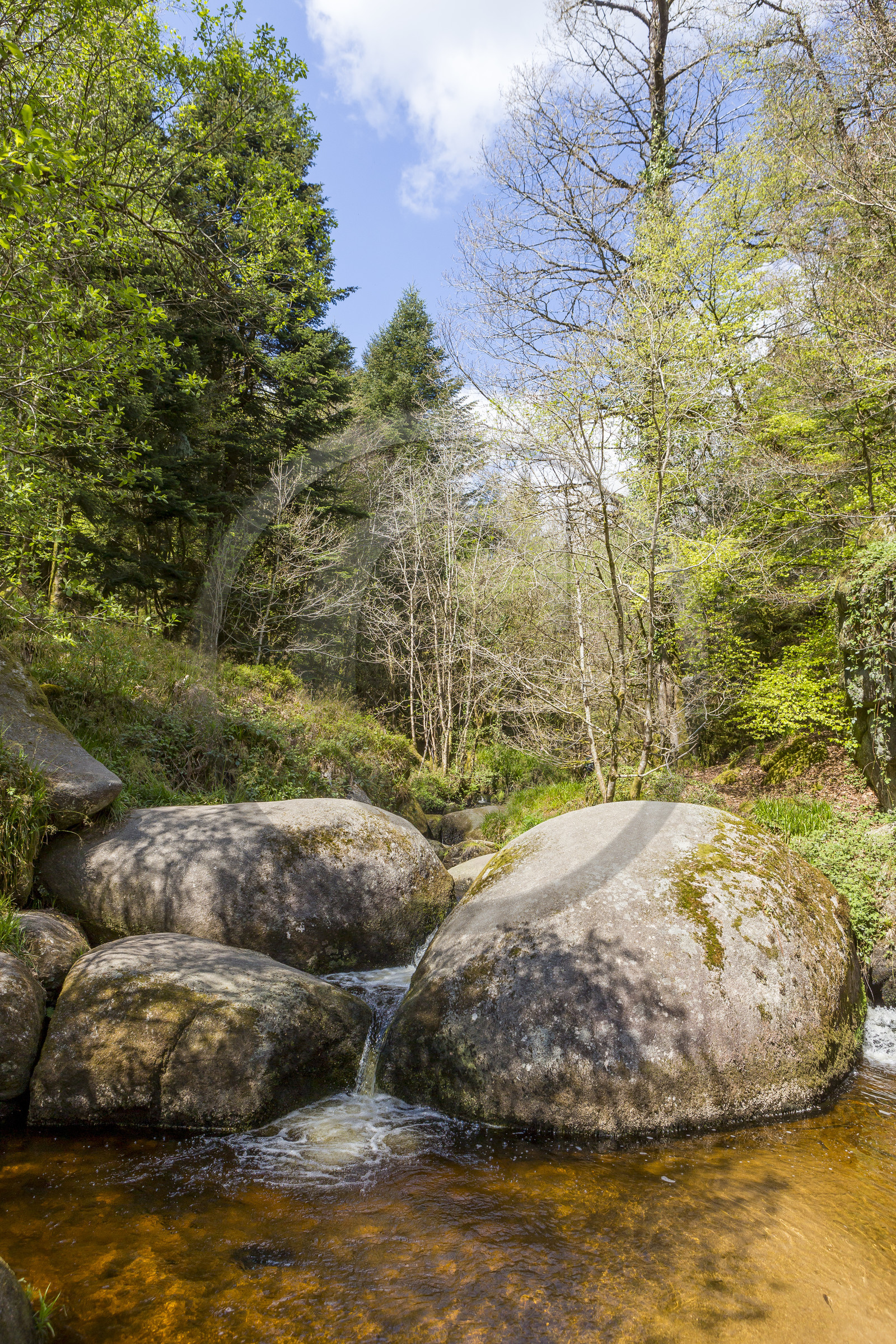 The boar pond in the Huelgoat forest.