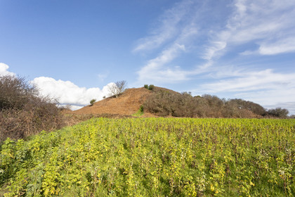 Tumulus of Tumiac in Arzon