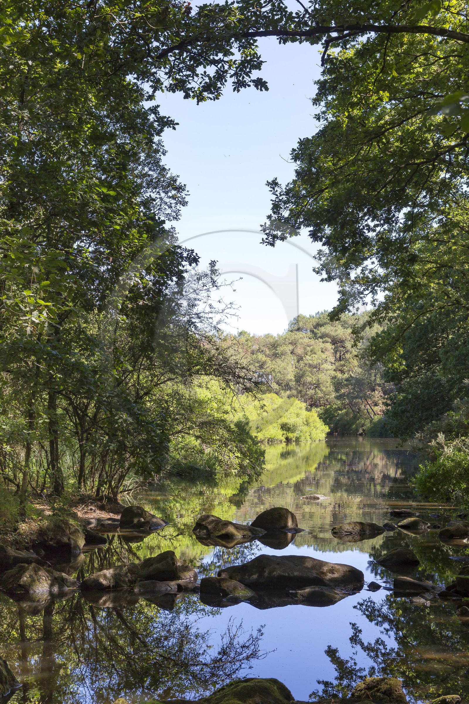 Le ruisseau du Gouyanzeur à Carnac Le ruisseau du Gouyanzeur à Carnac