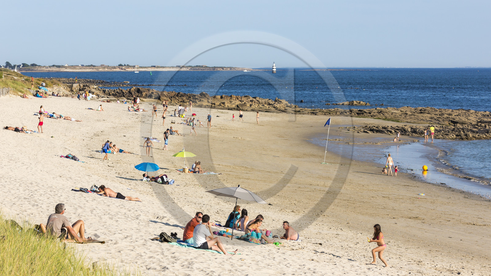 Plage de Kerguelen _ les roseaux à Larmor-Plage