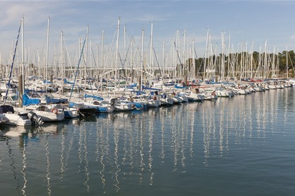 Le port de la Trinite sur mer