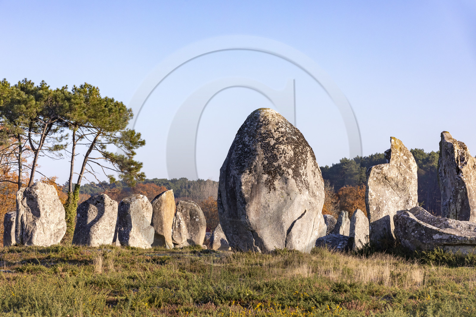 Alignement de Kermario_Carnac