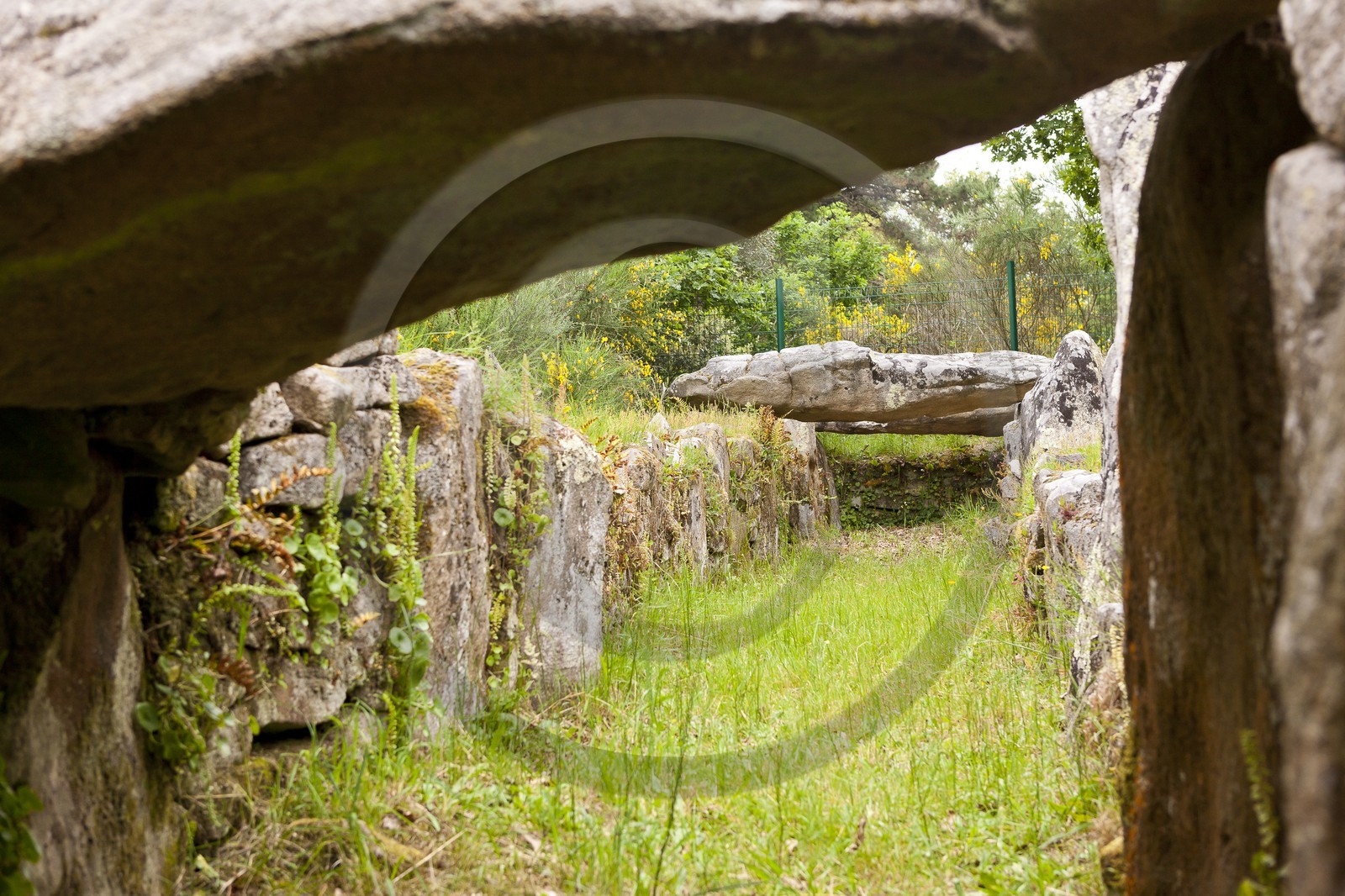 SITE ARCHEOLOGIQUE DE MANE ROULARDE _ LA TRINITE SUR MER