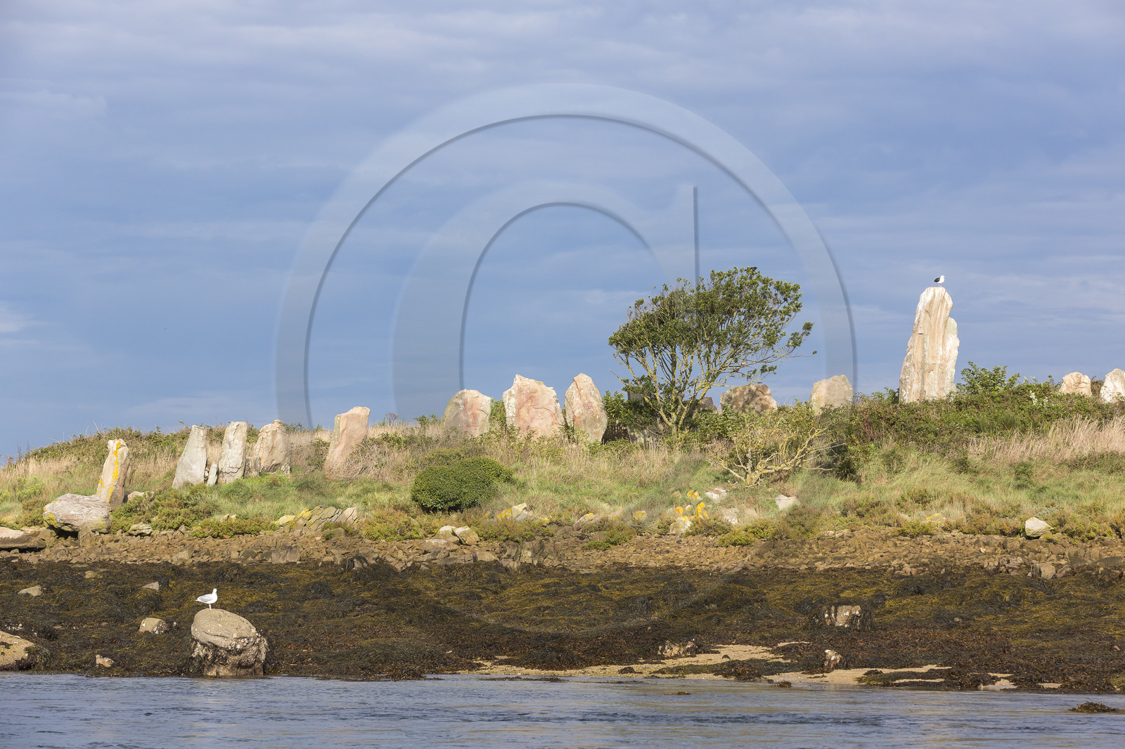 Er Lannic dans le golfe du Morbihan à Arzon Er Lannic dans le golfe du Morbihan à Arzon