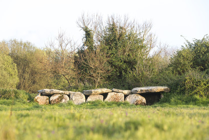 L'allée couverte de Kerguntuil à Trégastel.