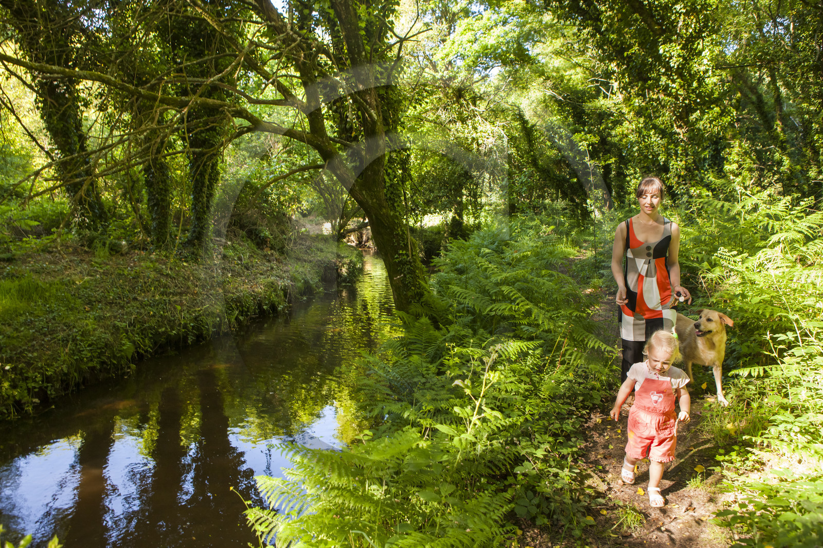 Le ruisseau le Rion sur la commune de Brandérion Le ruisseau le Rion sur la commune de Brandérion