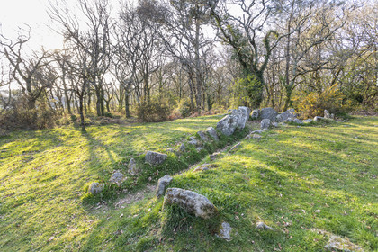 Le site mégalithiques de Mané Roulad à Ploemel