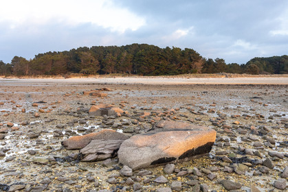 Alignments Kerdual in La Trinité sur Mer