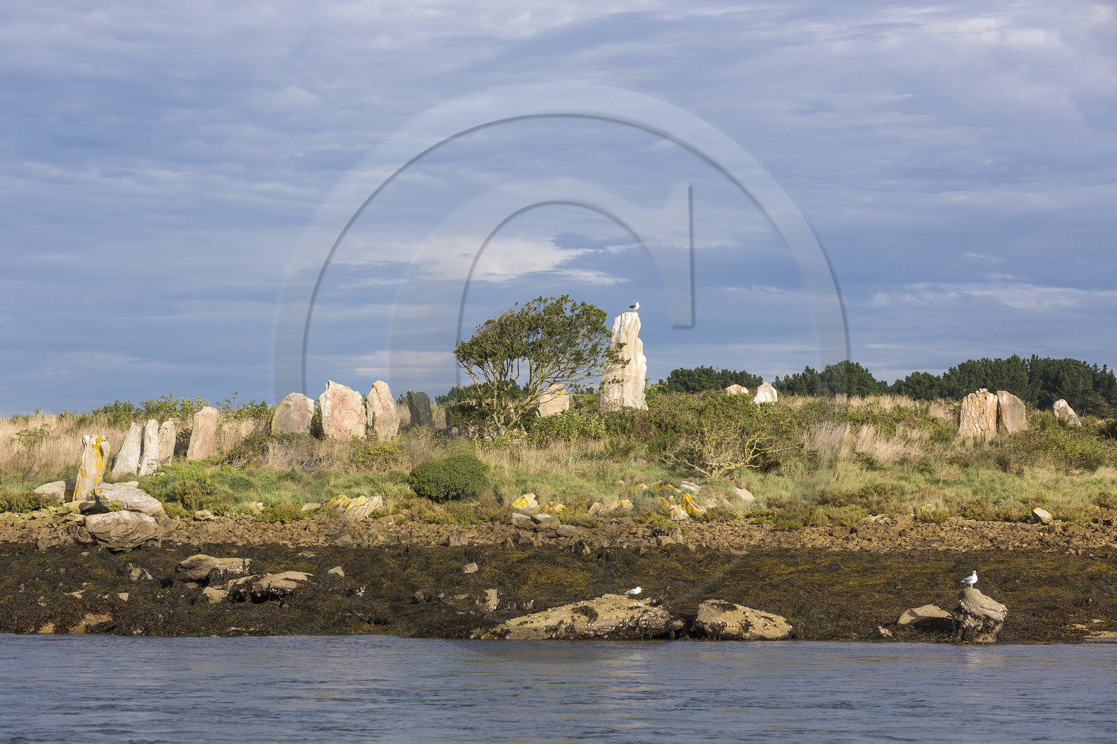 Er Lannic dans le golfe du Morbihan à Arzon Er Lannic dans le golfe du Morbihan à Arzon