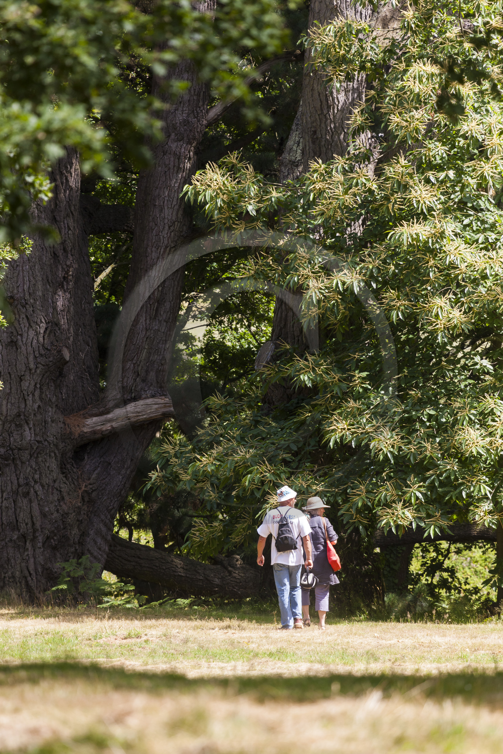 Park of the Devil's castle_Caudan Park of the Devil's castle_Caudan