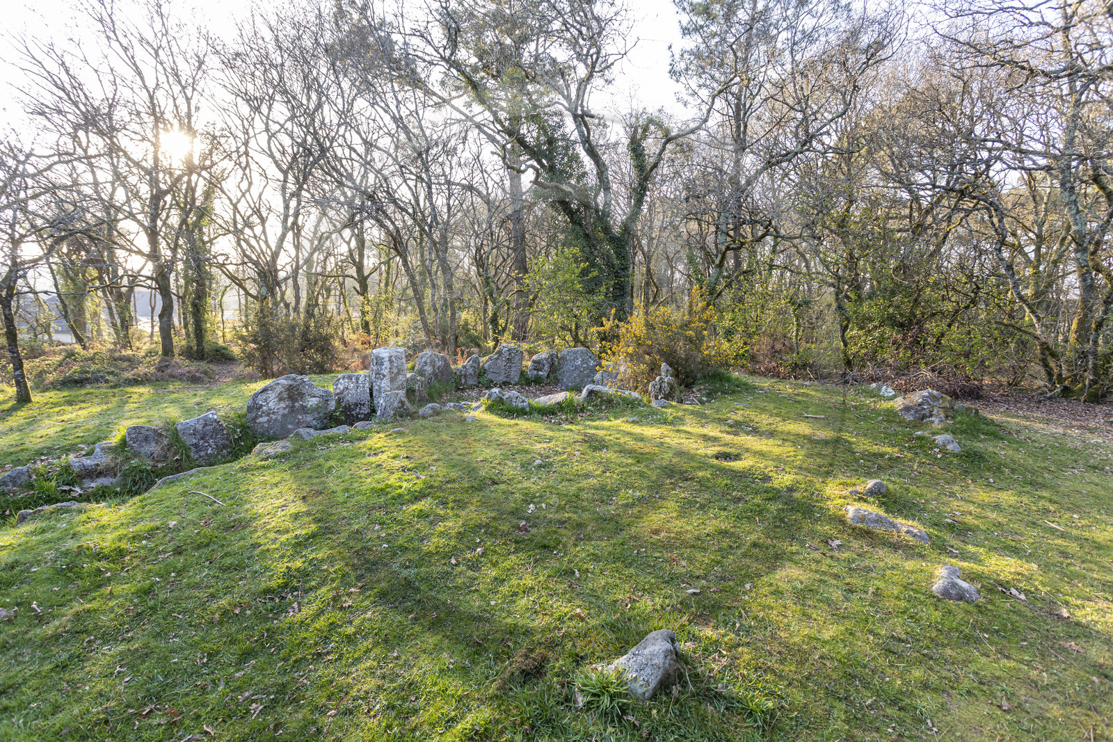 Le site mégalithiques de Mané Bogad à Ploemel