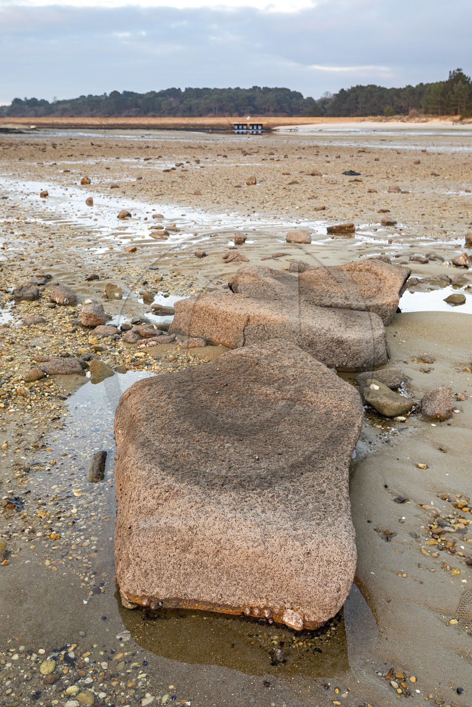 Alignments Kerdual in La Trinité sur Mer