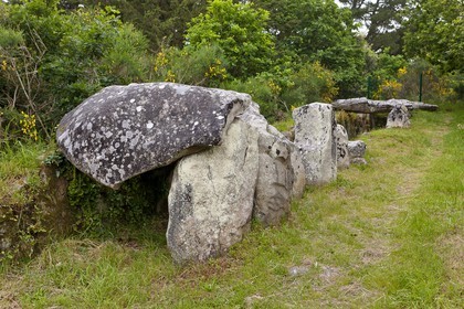 SITE ARCHEOLOGIQUE DE MANE ROULARDE _ LA TRINITE SUR MER