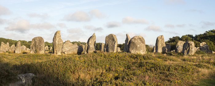 Les alignements de Kermario _ Carnac