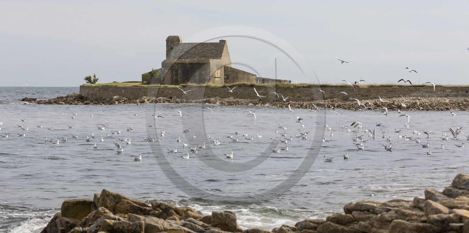La pointe de Kerbihan _ La Trinité sur Mer La pointe de Kerbihan _ La Trinité sur Mer