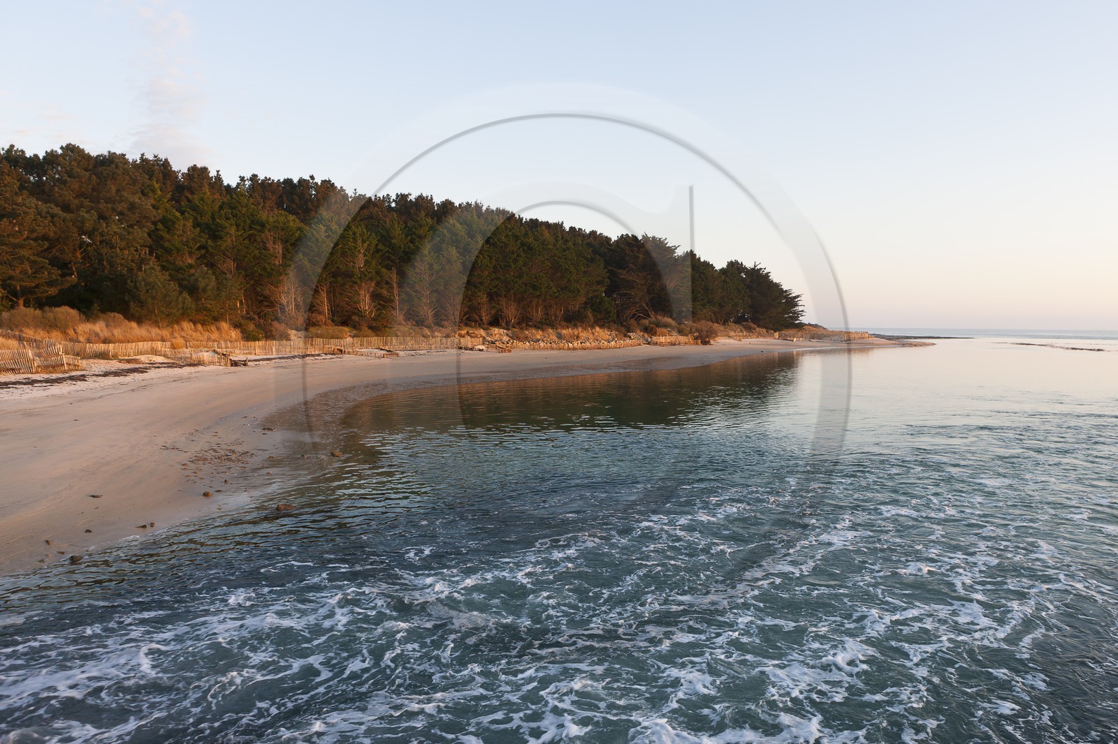 bois du Poulbert _ la Trinite sur mer bois du Poulbert _ la Trinite sur mer